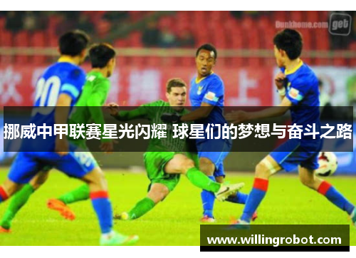 挪威中甲联赛星光闪耀 球星们的梦想与奋斗之路